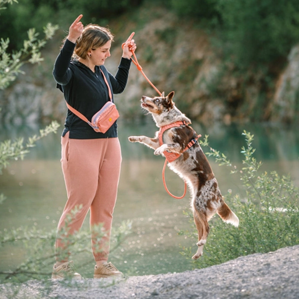 Die Hüfttasche Alpha 360 von Woolly Wolf aus recyceltem PET.