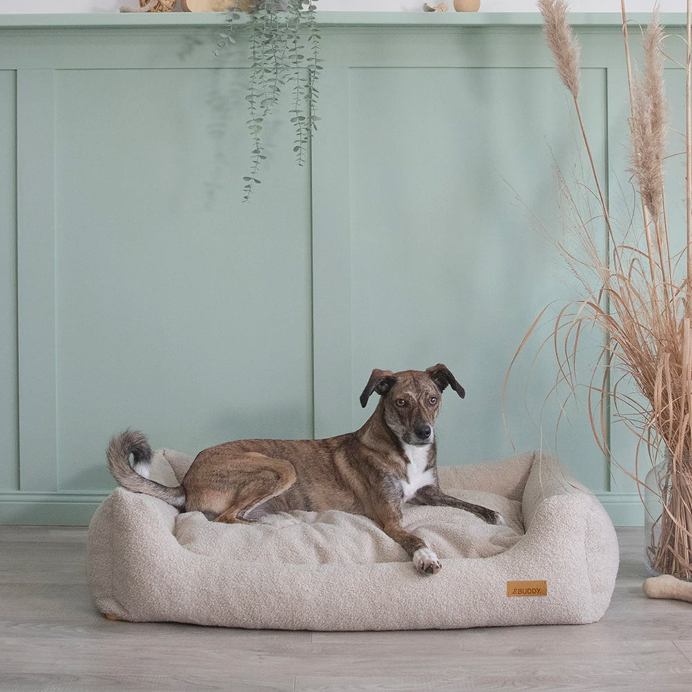 Das Hundebett LeFluff mit Rand in beige von BUDDY.