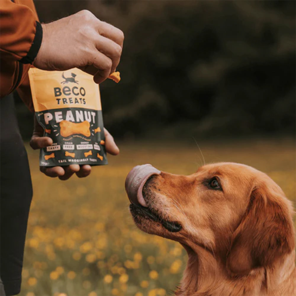 Beco Treats mit Erdnuss, Kokosnuss & Kurkuma für Hunde ab 8 Wochen.