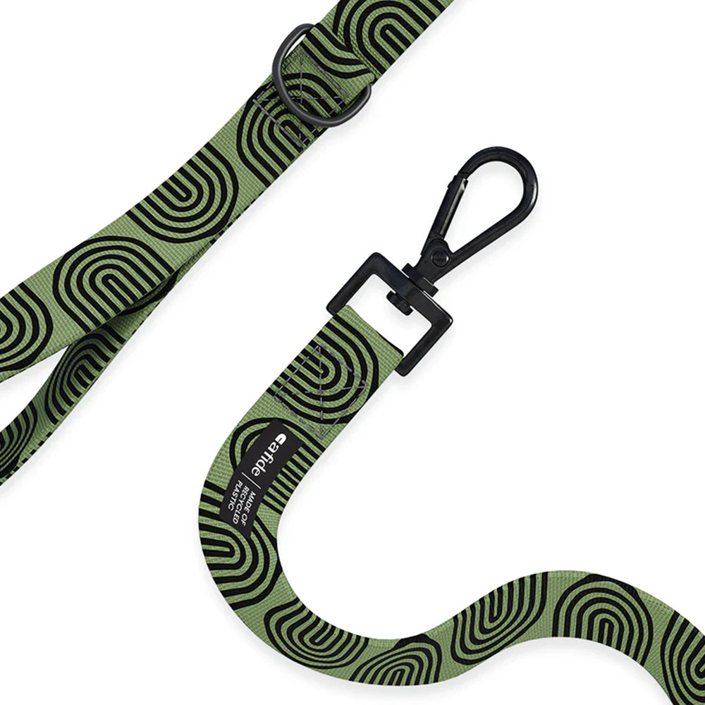 Hier zeigt sich die Hundeleine von Oben mit Sicht auf dem schwarzen Karabiner.