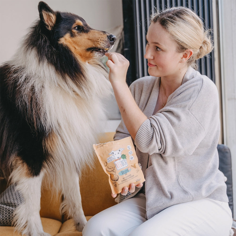Der vegane Snack Veggies Immune von VegDog.