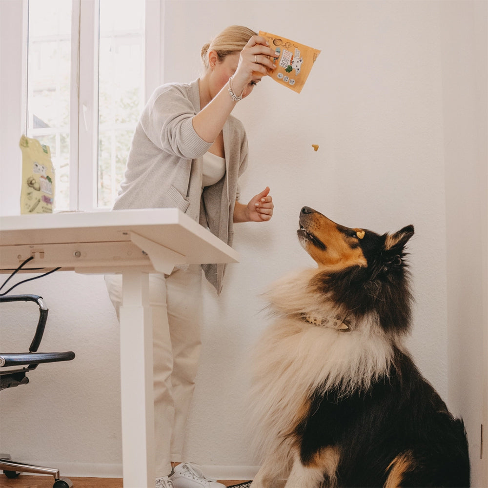 Der vegane Snack Veggies Immune von VegDog.
