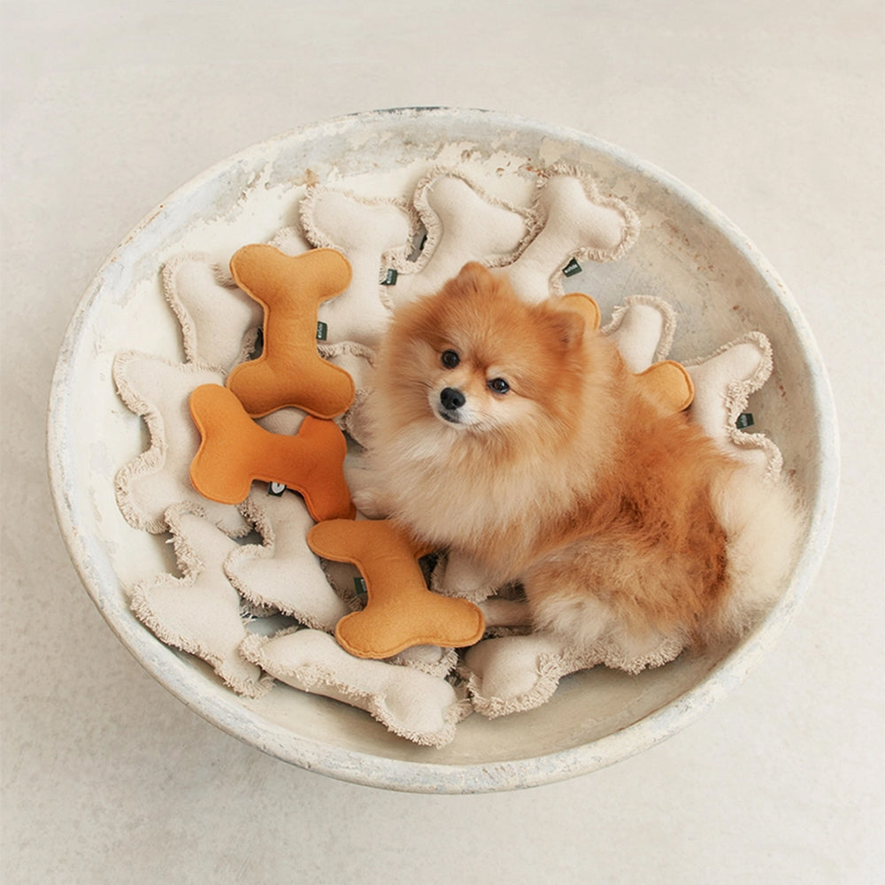 Das nachhaltige Hundespielzeug 'Play' in der Farbe senf von Cafide.