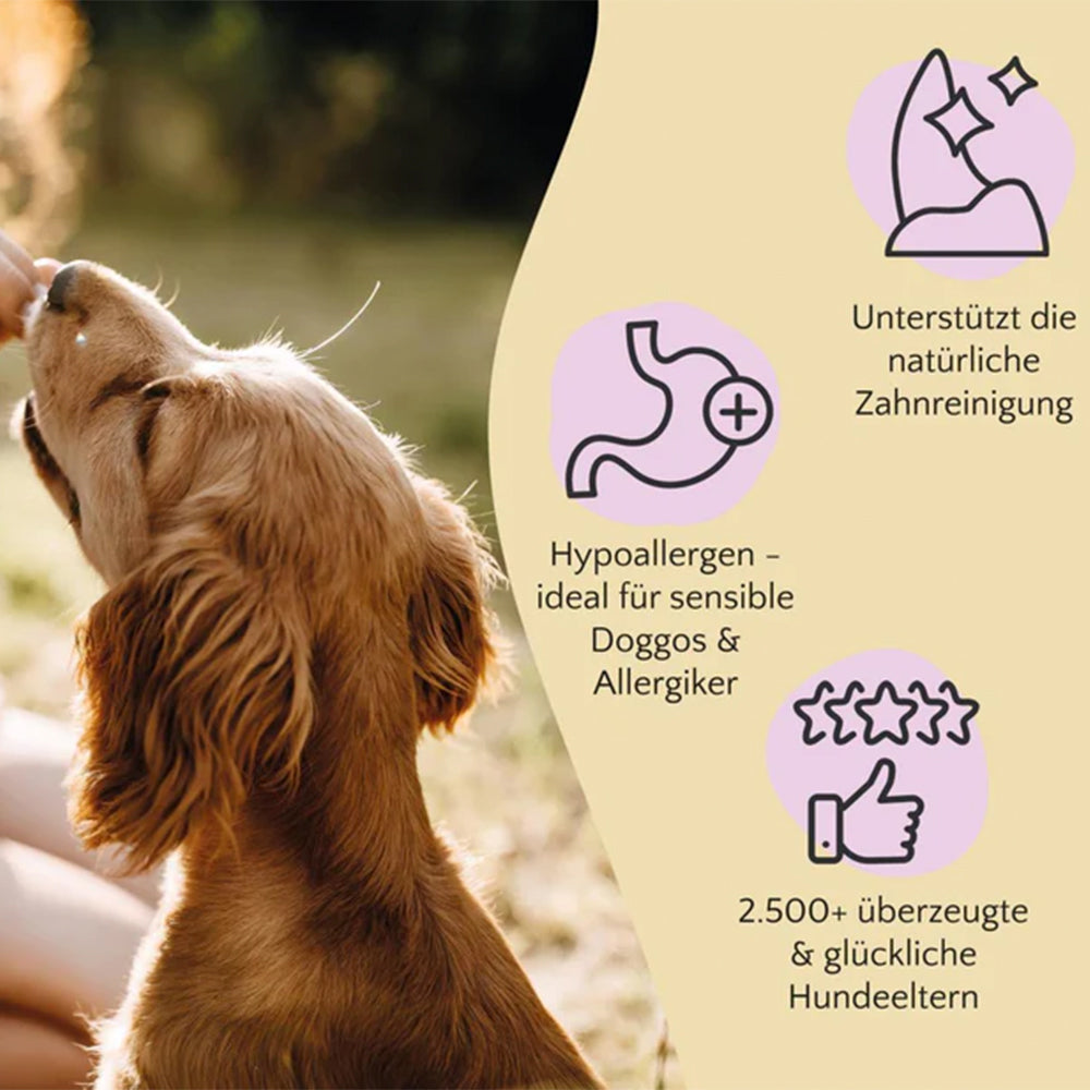 Der Premium Kauartikel 'Hirschhaut' von FAVLY Petfood für Hunde.