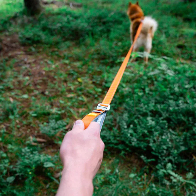 Die verstellbare Hundeleine Roam in terrakotta von Woolly Wolf.