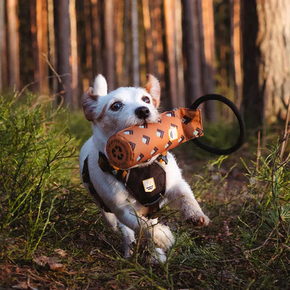 Nachhaltiges Hundespielzeug Floaty Fetch Toy von Woolly Wolf.