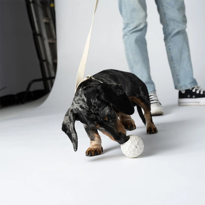 Der Leckerliball aus Naturkautschuk in zwei Farben von Barkalot für deinen Hund.