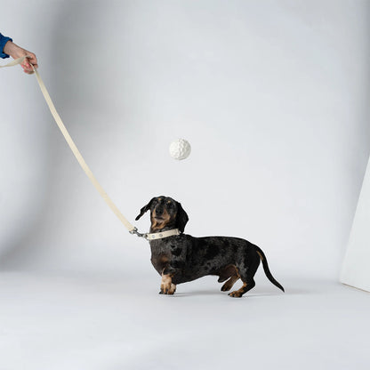 Der Leckerliball aus Naturkautschuk in zwei Farben von Barkalot für deinen Hund.