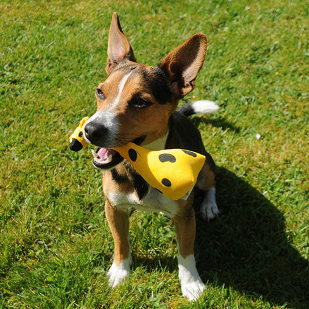 Das Hundespielzeug George the Giraffe von Beco aus recyceltem Material.