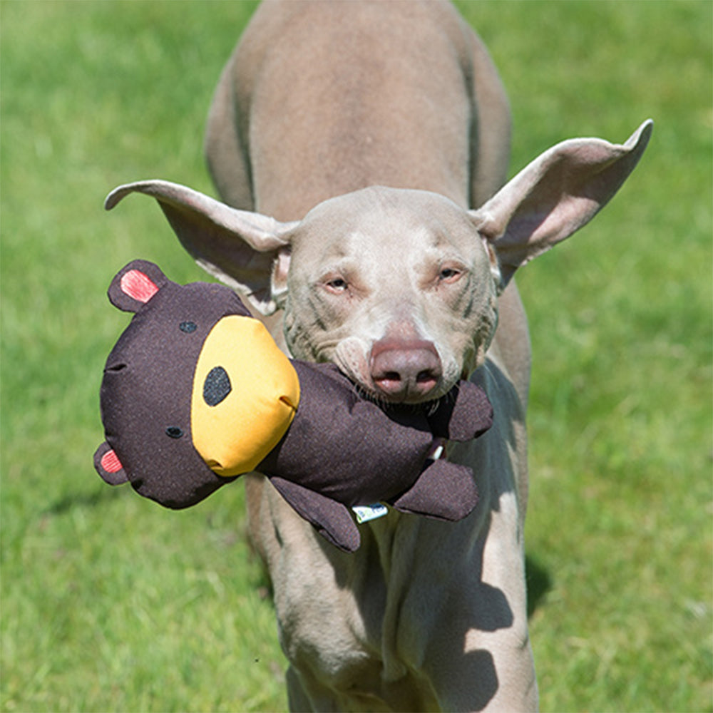 Toby the Teddy von Beco aus recyceltem Material zum Spielen für deinen Hund.