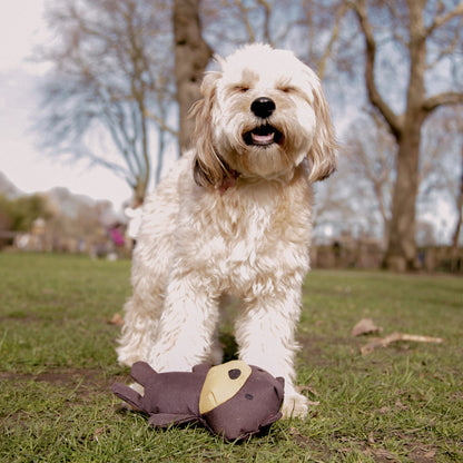 Toby the Teddy von Beco aus recyceltem Material zum Spielen für deinen Hund.
