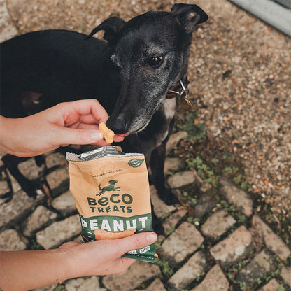 Beco Treats mit Erdnuss, Kokosnuss & Kurkuma für Hunde ab 8 Wochen.