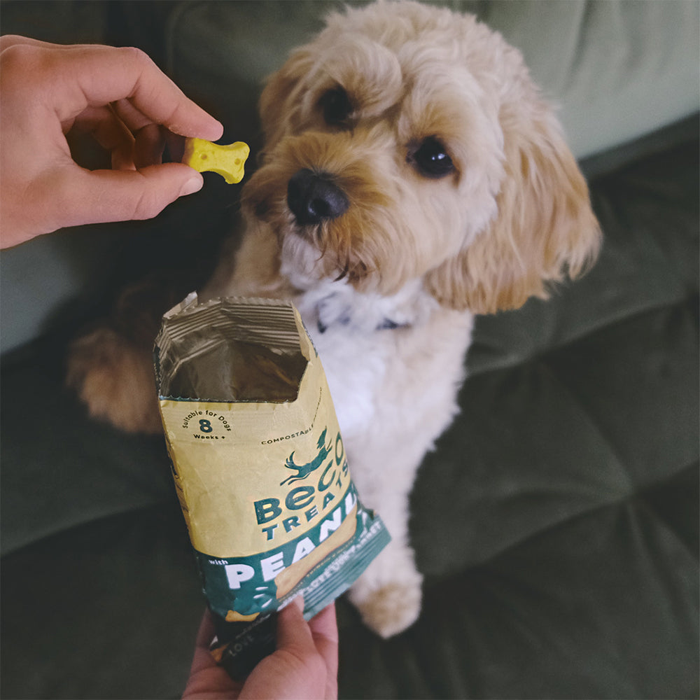 Beco Treats mit Erdnuss, Kokosnuss & Kurkuma für Hunde ab 8 Wochen.