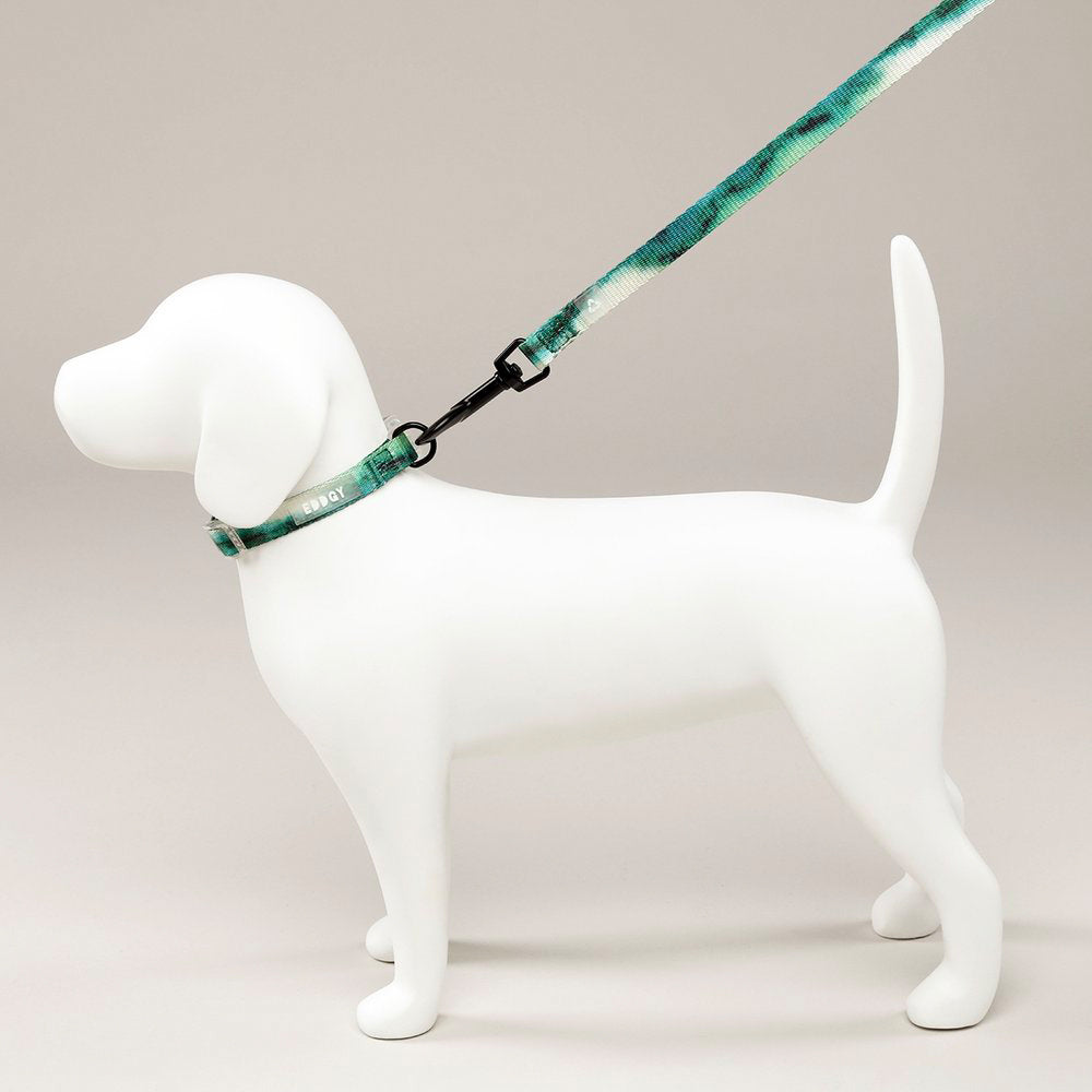 Das nachhaltige Hundehalsband Maximus von EDDGY.