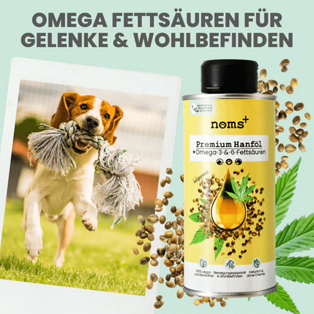 Das Premium Hanföl für Hunde und Katzen ohne THC von noms+