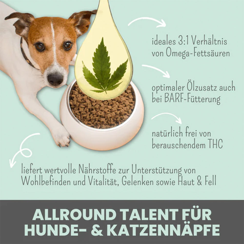 Das Premium Hanföl für Hunde und Katzen ohne THC von noms+