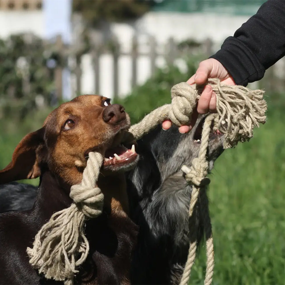 Tauspielzeug aus Bio-Hanf von Pawsome Pet Toys.