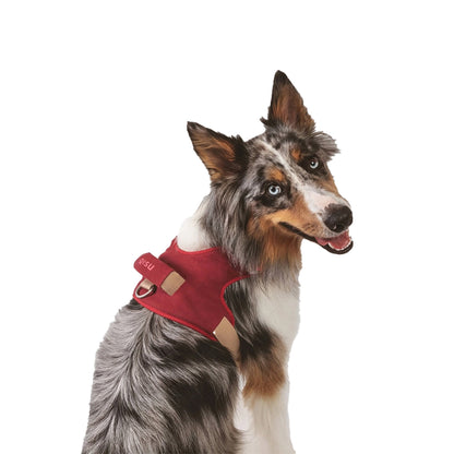 Hundegeschirr | Hug Harness, garnet