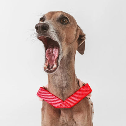 Das nachhaltige Hundegeschirr Huge Harness, light pink von Qisu.