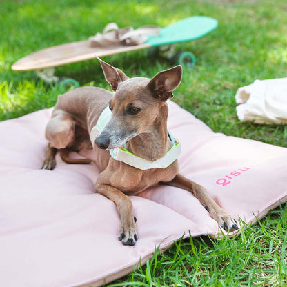 Die nachhaltige Hundereisematte 'Nomad Bed' von Qisu in der Farbe light pink.