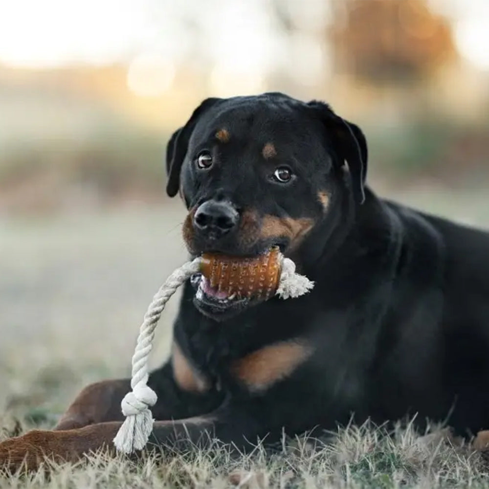 Das nachhaltige Hundespielzeug Rugby Spike & Rope aus der Kollektion Rub professional von Retorn.