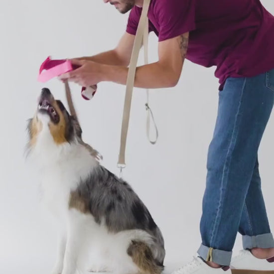 Hundegeschirr | Hug Harness von Qisu