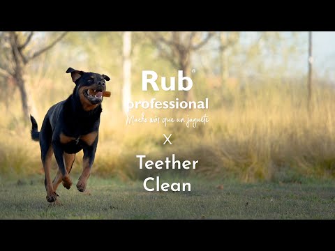 Das Hundespielzeug Teether Clean aus der Kollektion Rub professional von Retorn.